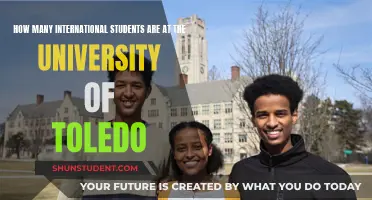 Toledo University: A Hub for International Students