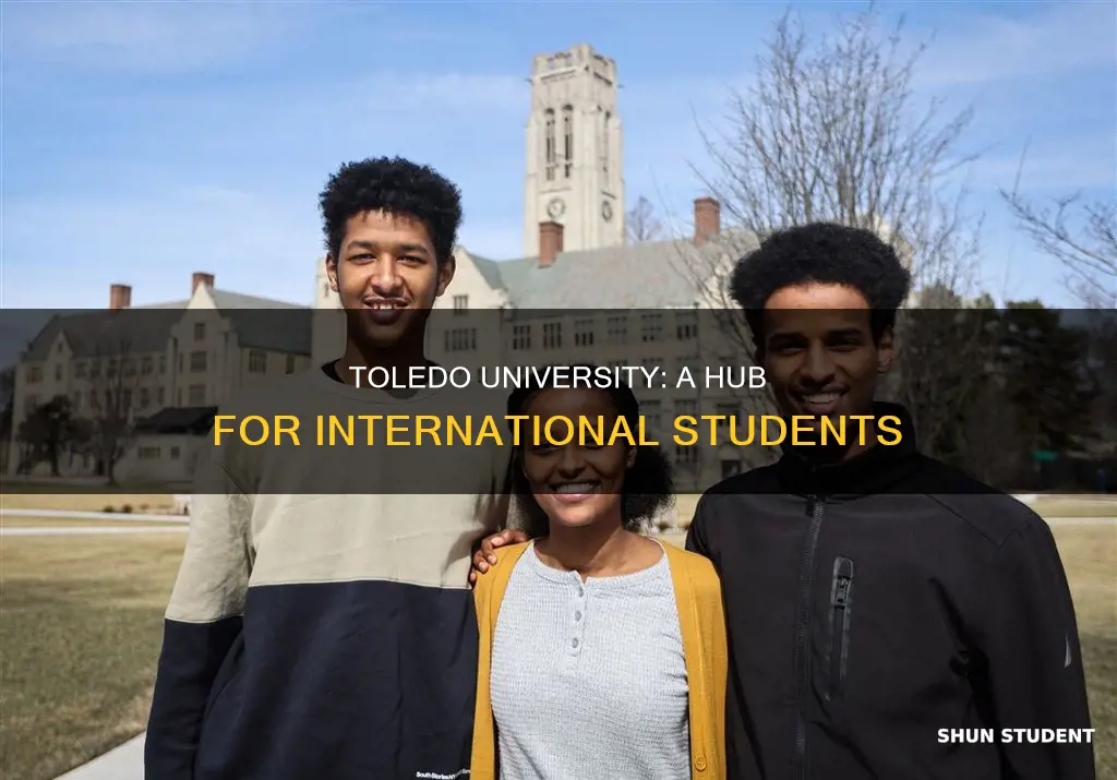 how many international students are at the university of toledo