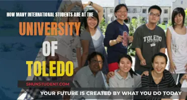 International Students at University of Toledo: A Large Number