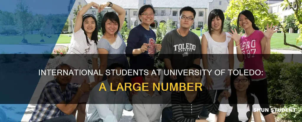 how many international students are at the university of toledo