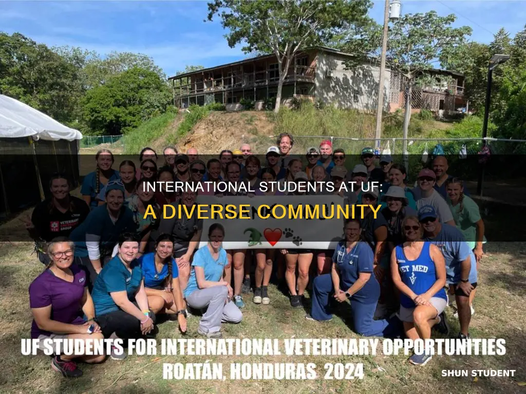 how many international students are at uf