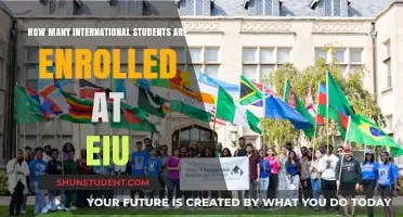International Students at EIU: Enrollment Figures