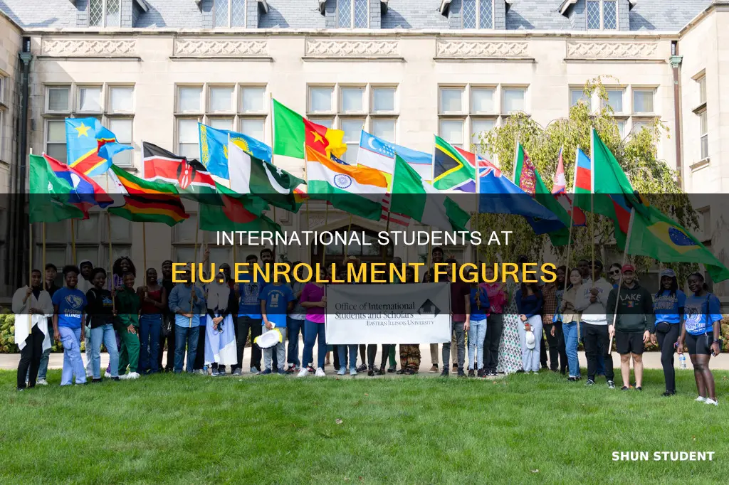 how many international students are enrolled at eiu