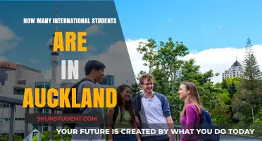 International Students Throng Auckland: Why?
