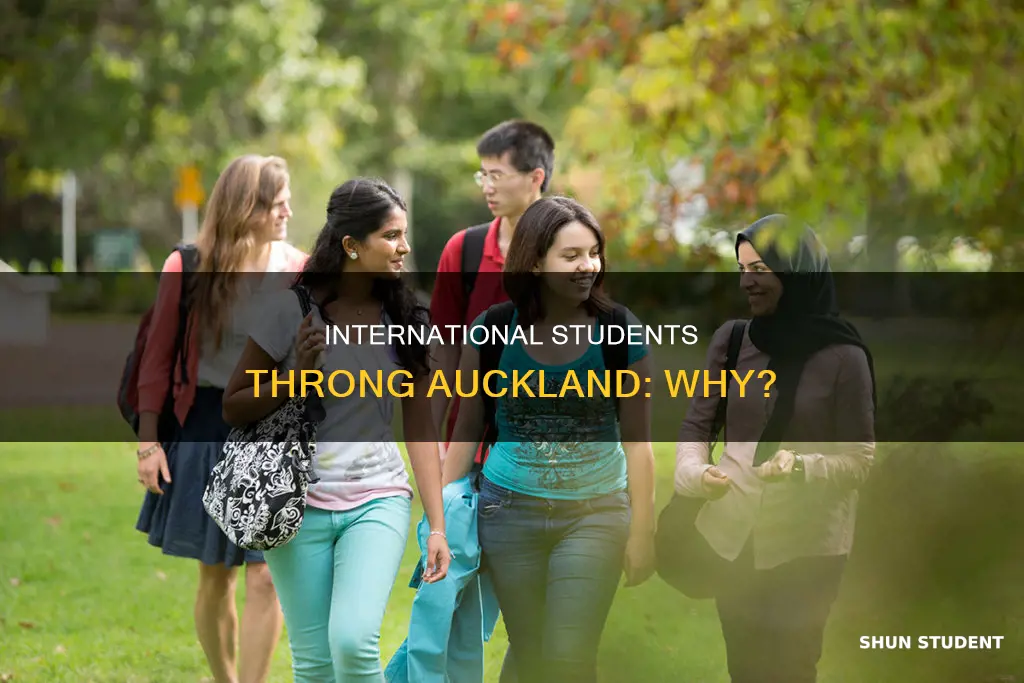 how many international students are in auckland