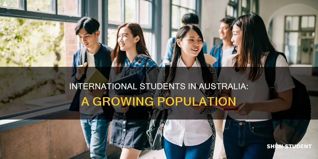 how many international students are in australia