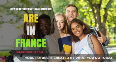 International Students in France: A Thriving Population