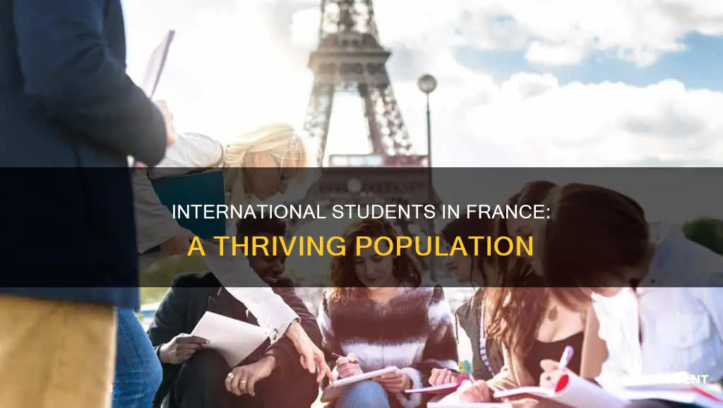 how many international students are in france