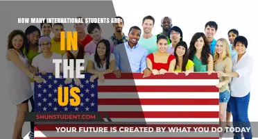 International Students in the US: A Growing Population