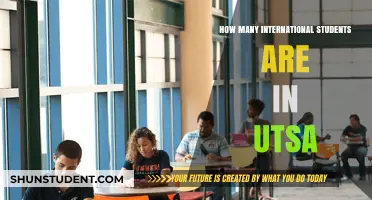 International Students at UTSA: A Thriving Community