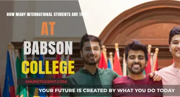 International Students at Babson College: How Many?