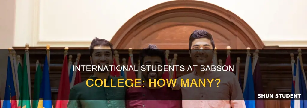 how many international students are there at babson college