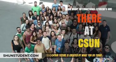 International Students at CSUN: A Large Number