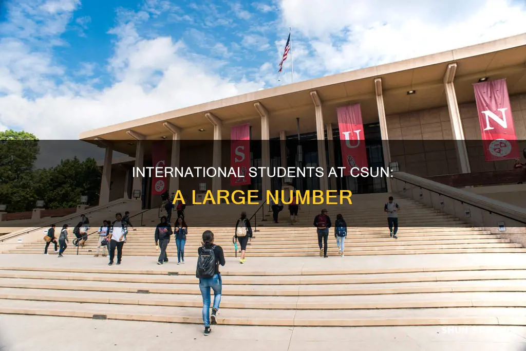 how many international students are there at csun