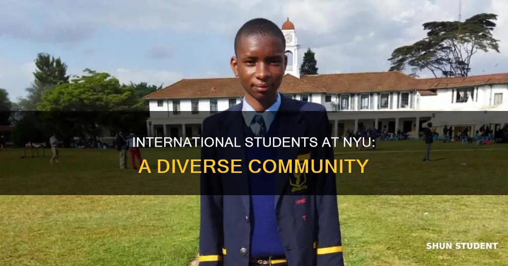how many international students are there at nyu