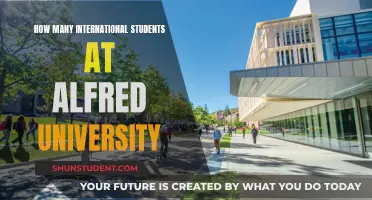 International Students at Alfred University: A Diverse Community