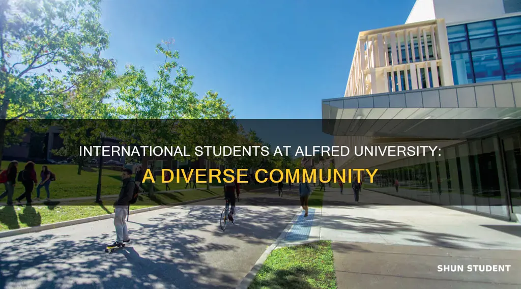 how many international students at alfred university