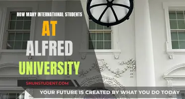 International Students Thriving at Alfred University