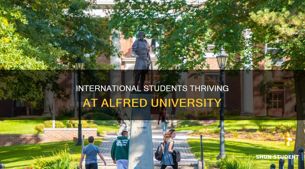 how many international students at alfred university