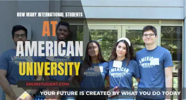 International Students Thriving at American University: A Comprehensive Overview