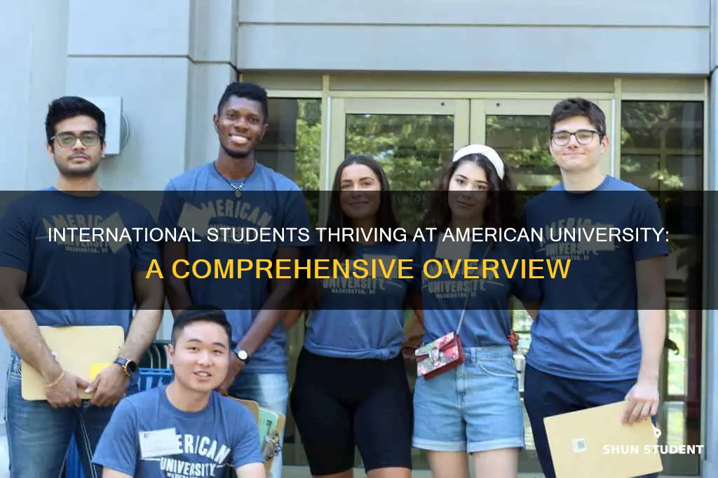 how many international students at american university