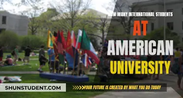 International Students Thriving at American University