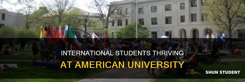 how many international students at american university