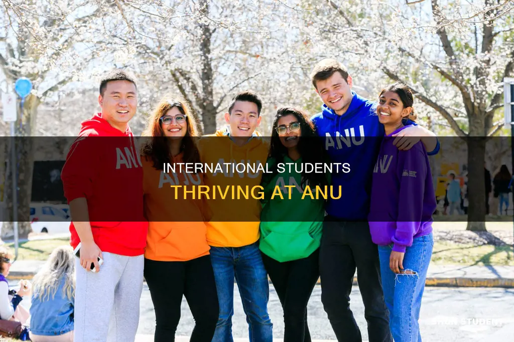 how many international students at anu