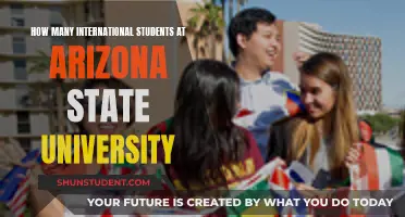 International Students Thriving at Arizona State University