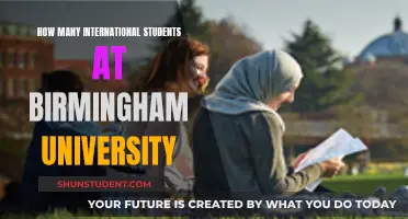 Birmingham University: International Students Hub?