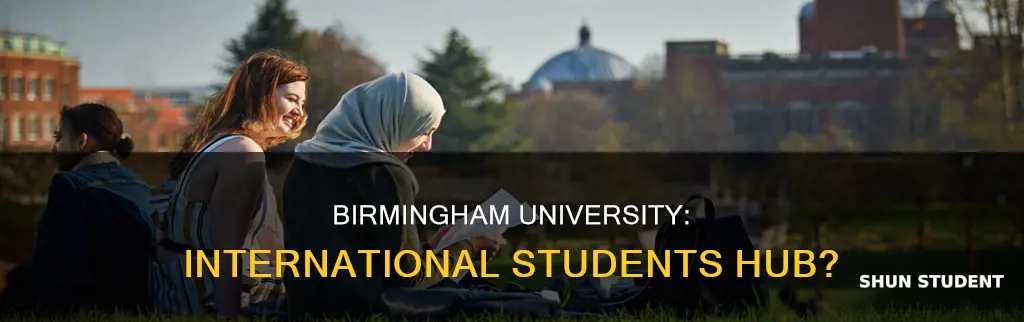 how many international students at birmingham university