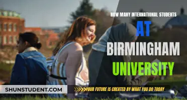 Birmingham University: International Students Hub