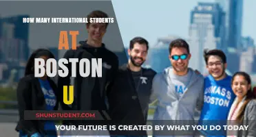 International Students Thriving at Boston University