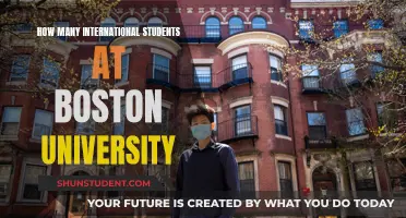 Boston University's International Student Population: A Comprehensive Overview