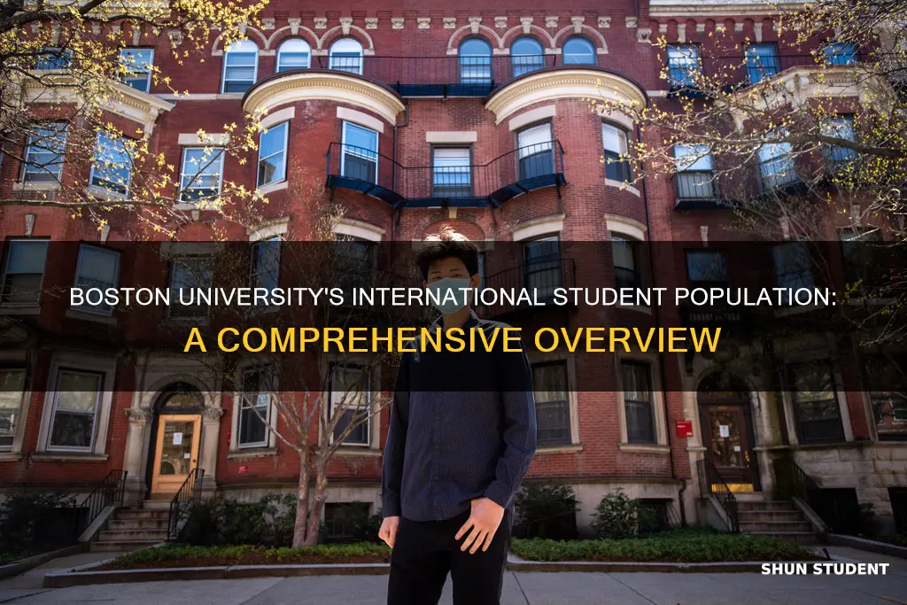 how many international students at boston university