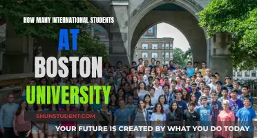International Students Thriving at Boston University