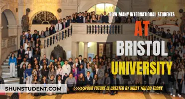 International Students Thriving at Bristol University