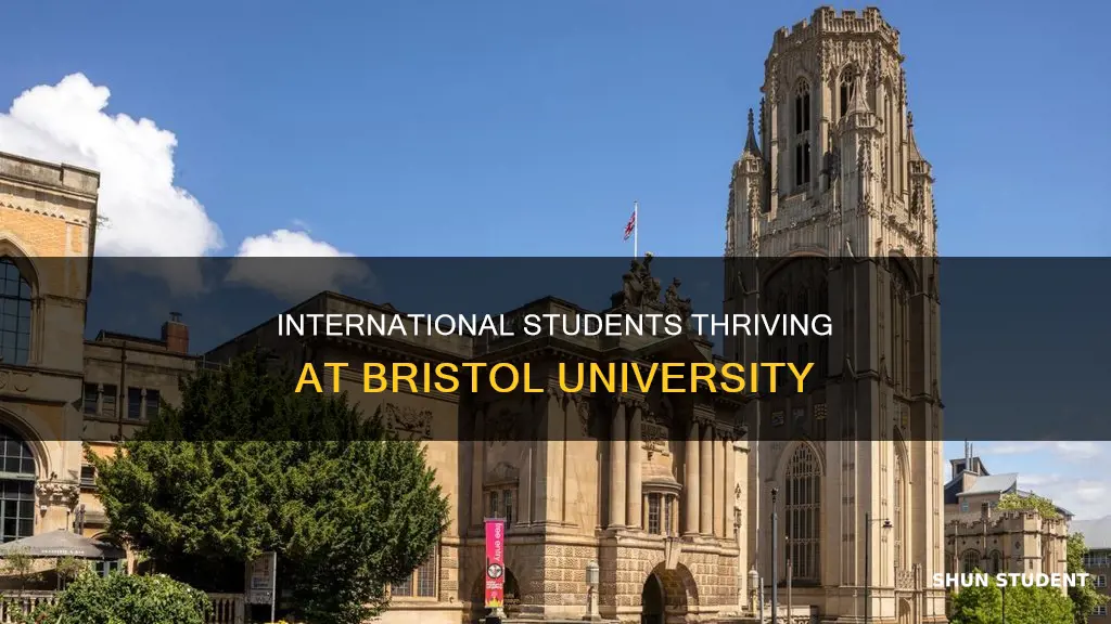 how many international students at bristol university