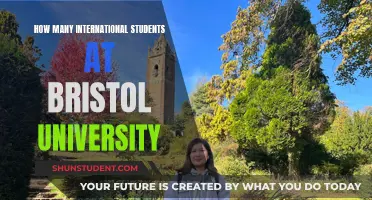 International Students Thriving at Bristol University