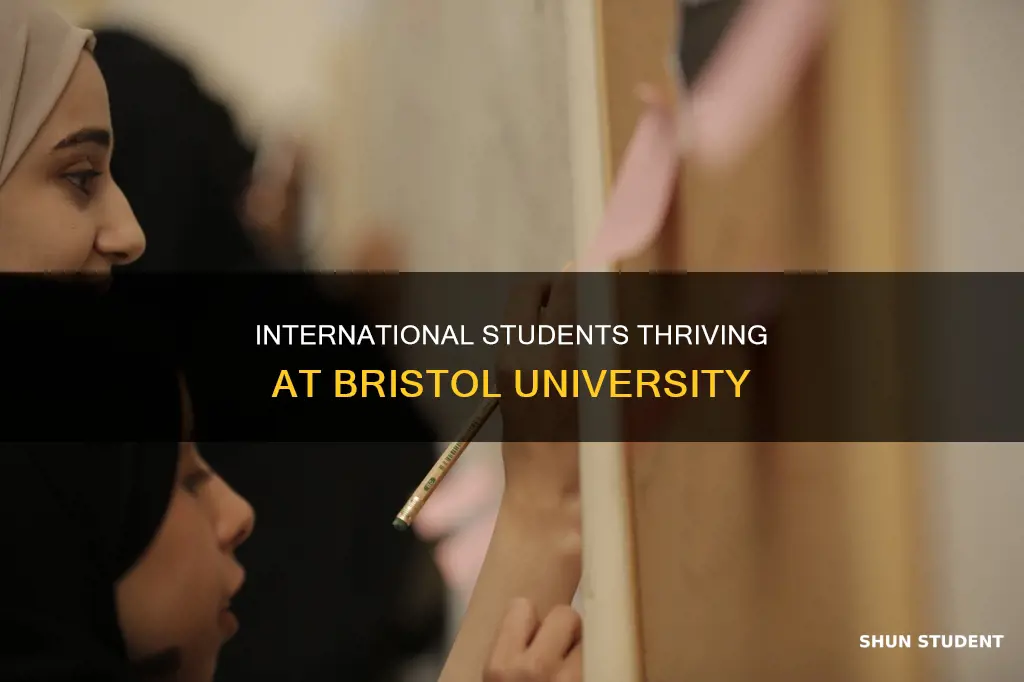 how many international students at bristol university