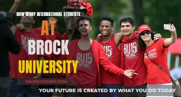 International Students Flock to Brock University: How Many?