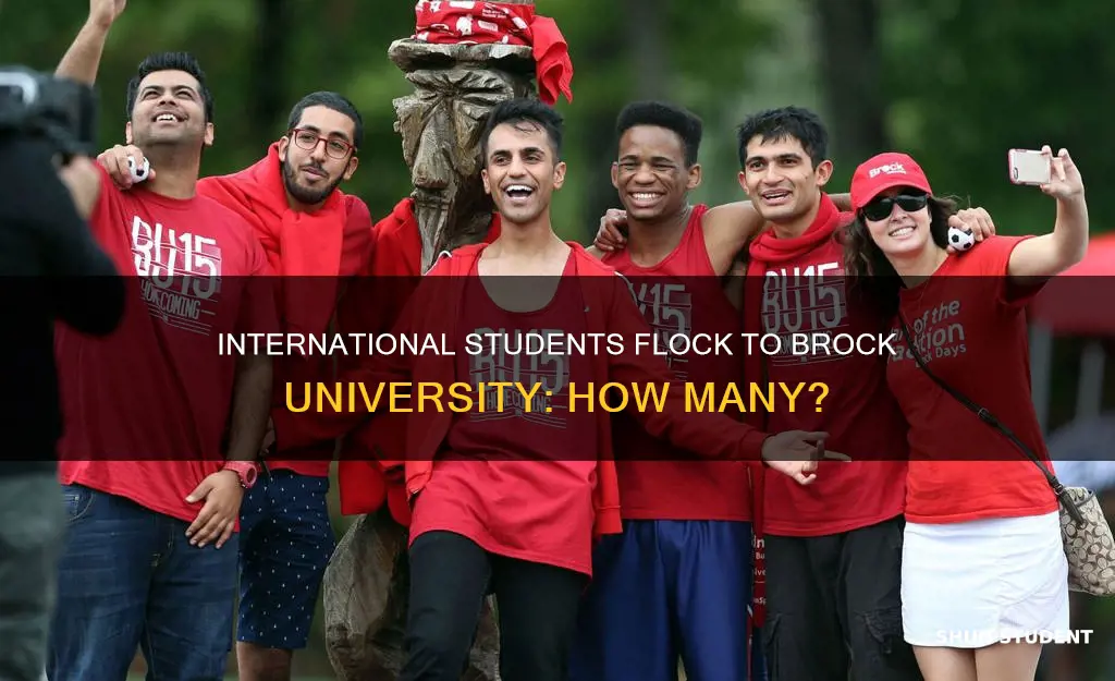 how many international students at brock university