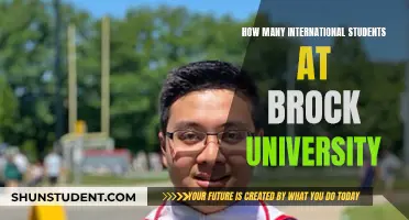 International Students Thriving at Brock University