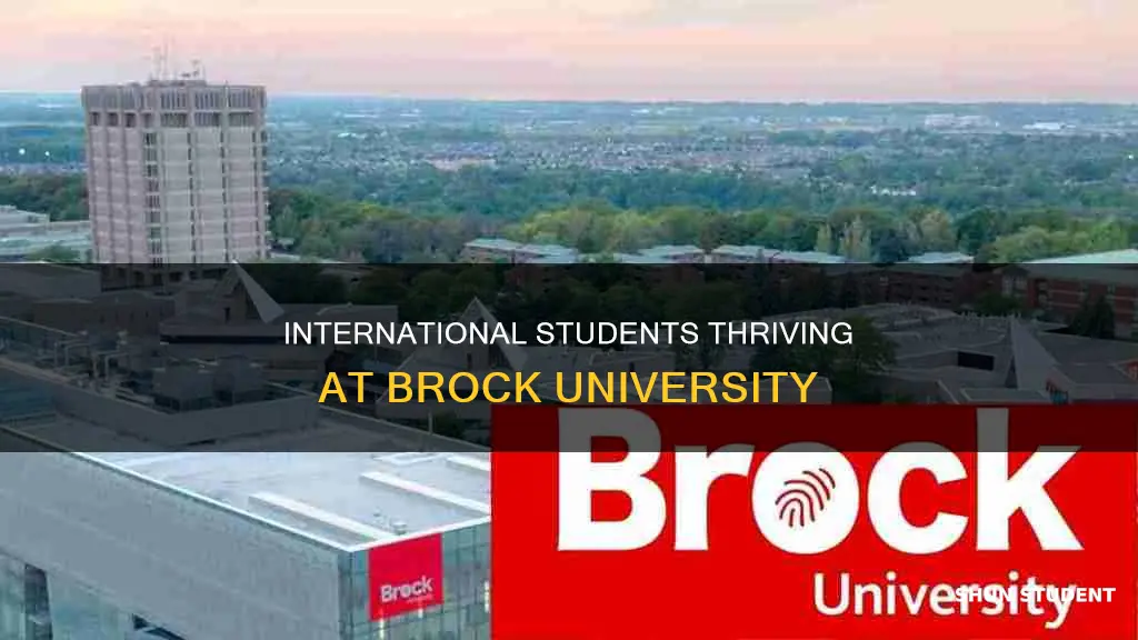 how many international students at brock university