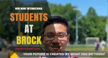 International Students Flock to Brock University