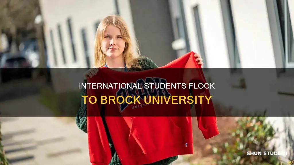 how many international students at brock