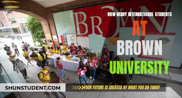 International Students Thriving at Brown University: What's the Count?