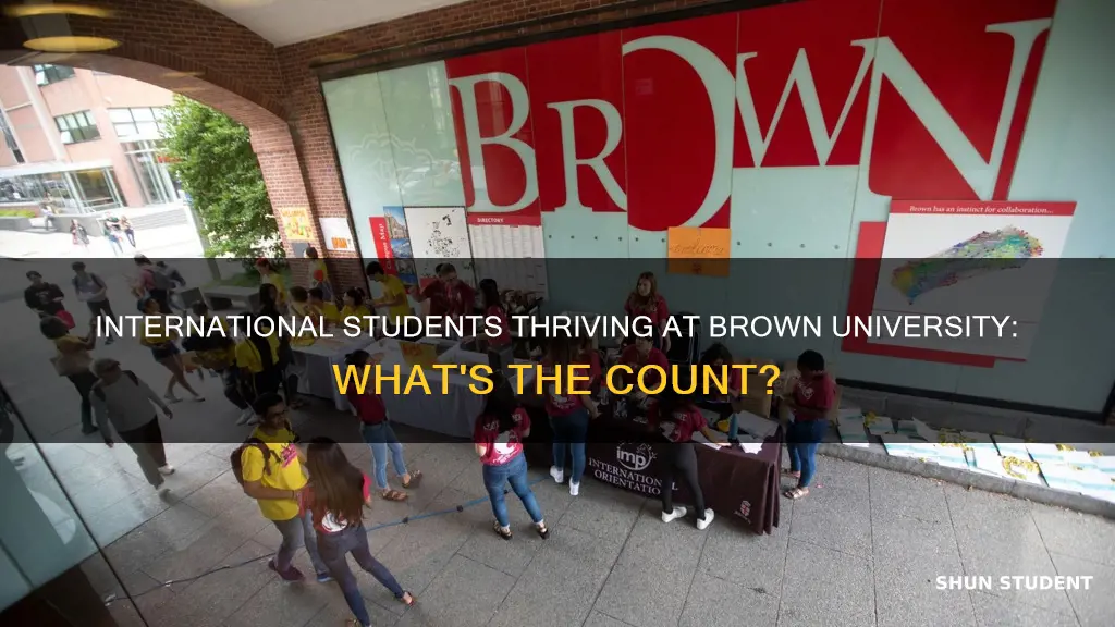 how many international students at brown university