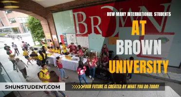 International Students Thriving at Brown University