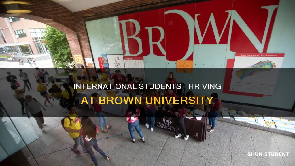 how many international students at brown university